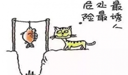 同学关系 漫画,同学间的欢乐时光