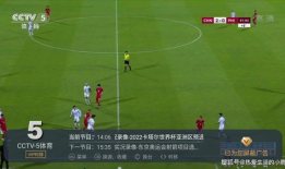 91软件直播看乒乓球比赛,精彩纷呈的乒乓球赛事回顾